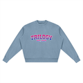 Trilogy High School Sweater - Bisexual Pride