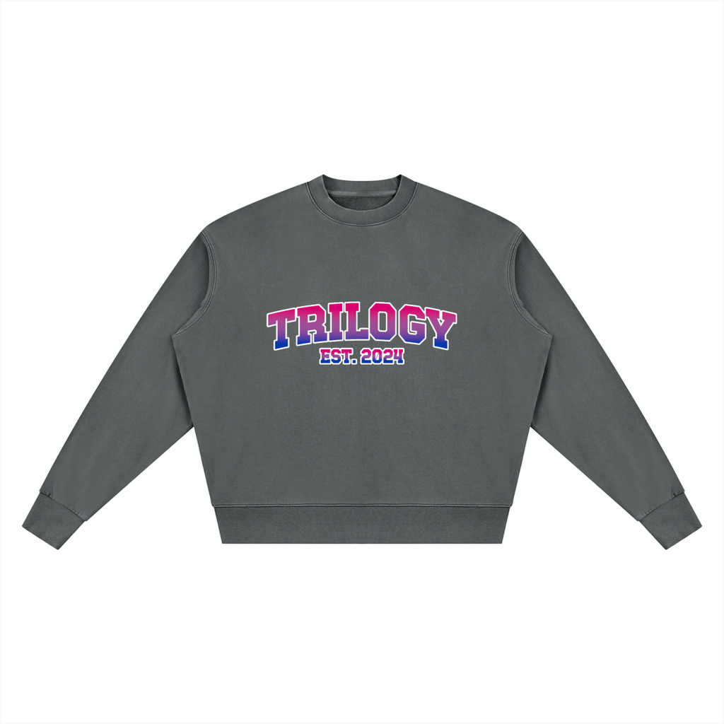 Trilogy High School Sweater - Bisexual Pride