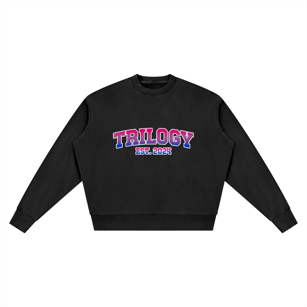Trilogy High School Sweater - Bisexual Pride